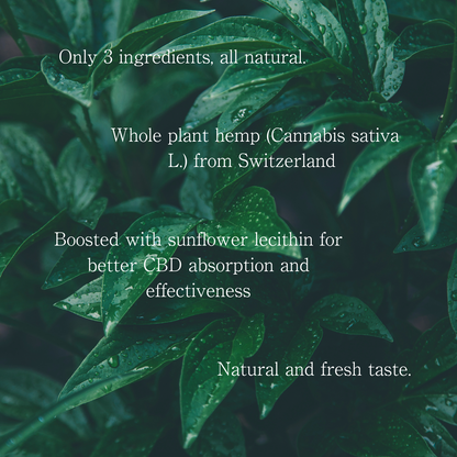 CBD Matcha Powder (1000mg CBD) – Coming Soon